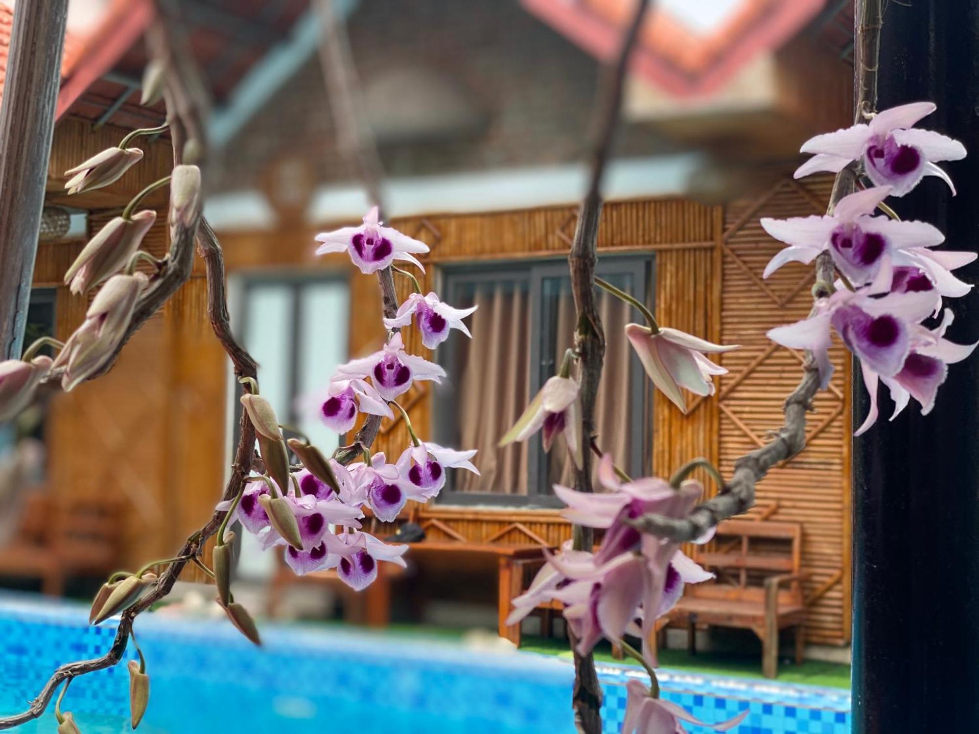 Tam Coc Charming Bungalow Ниньбинь Экстерьер фото